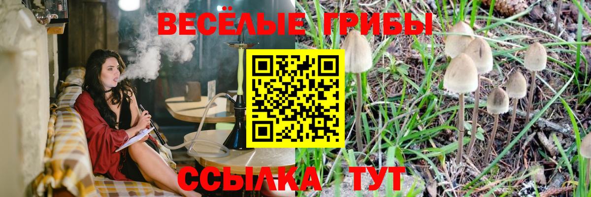 Галлюциногенные грибы прущие грибы Рубцовск