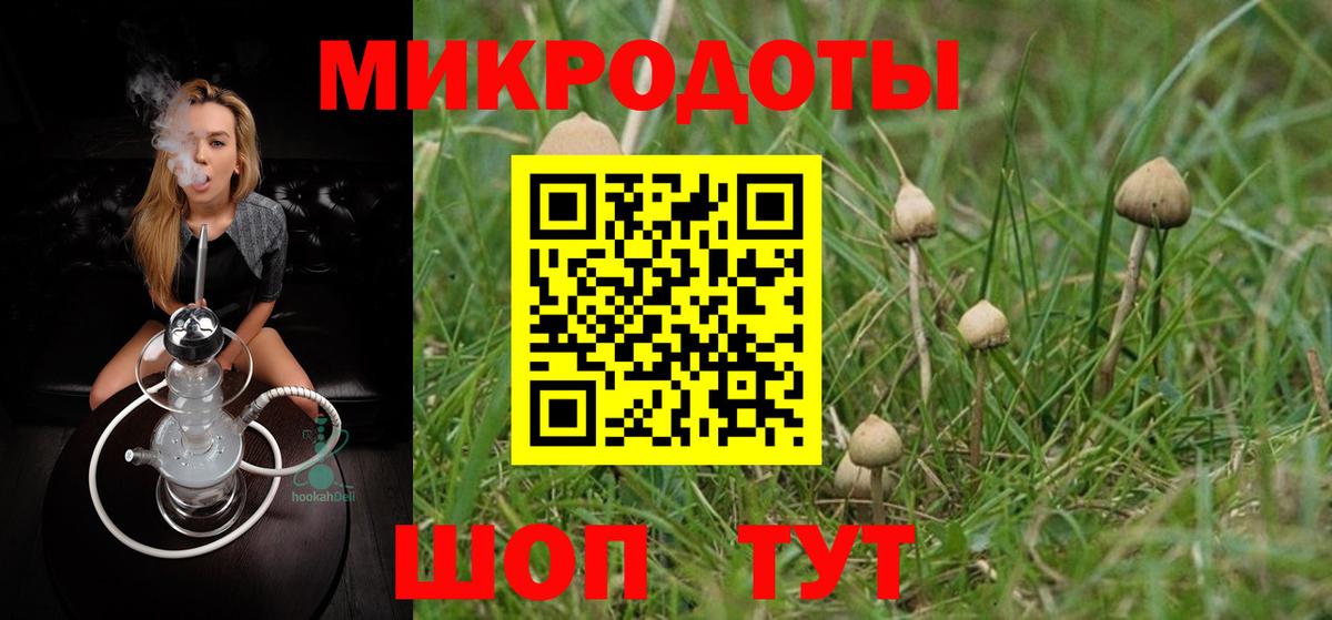 Галлюциногенные грибы мицелий  Вход с VPN  где купить наркотик  Рубцовск 